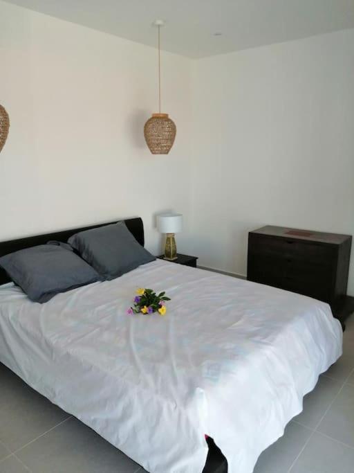Residence Canne Mapou 2 1 Chambre Сен-Пиер Екстериор снимка