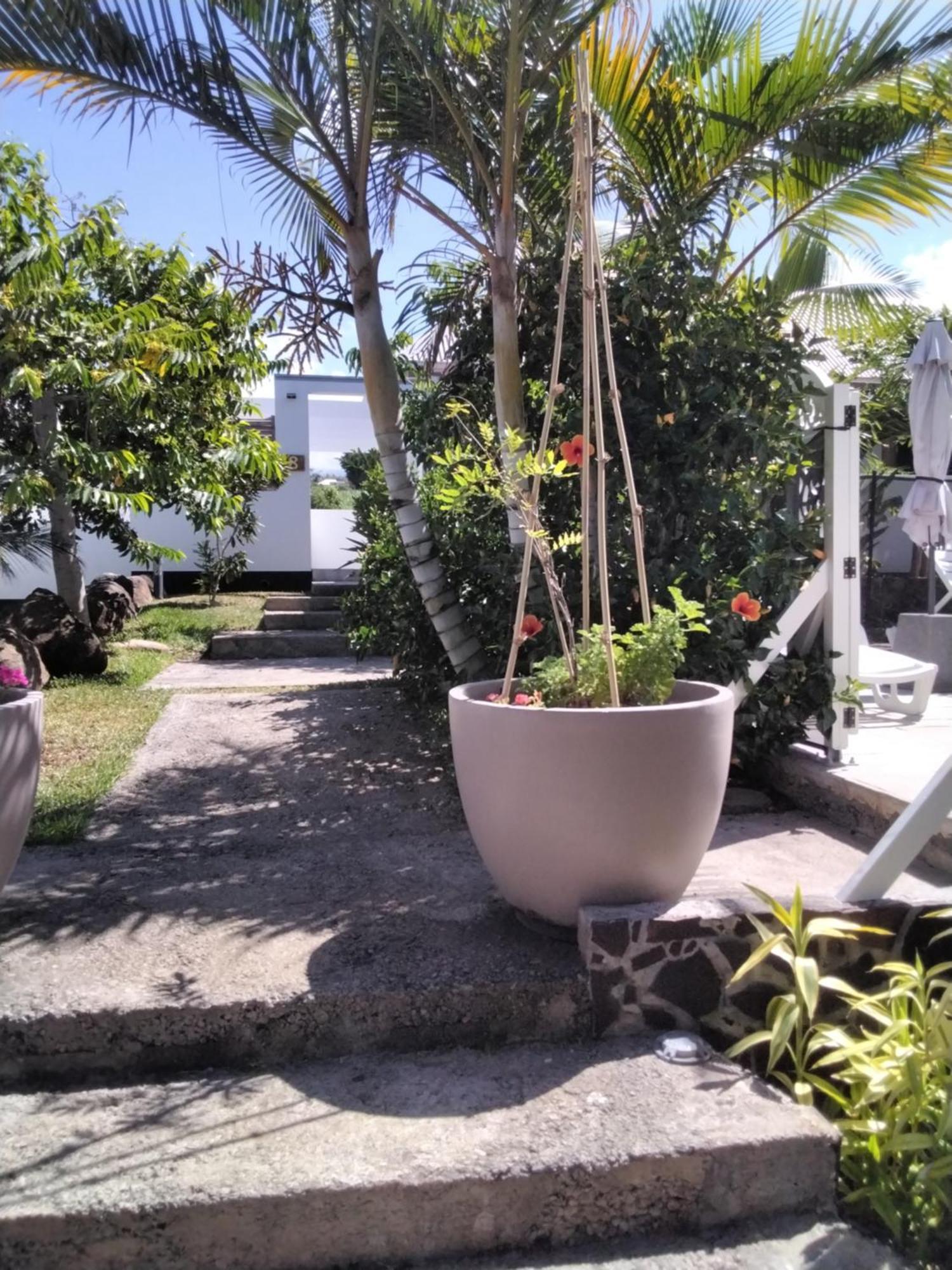 Residence Canne Mapou 2 1 Chambre Сен-Пиер Стая снимка